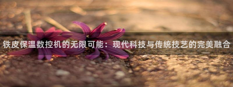 菲律宾天辰娱乐:铁皮保温数控机的无限可能:现代科技与传统技艺的完美融合