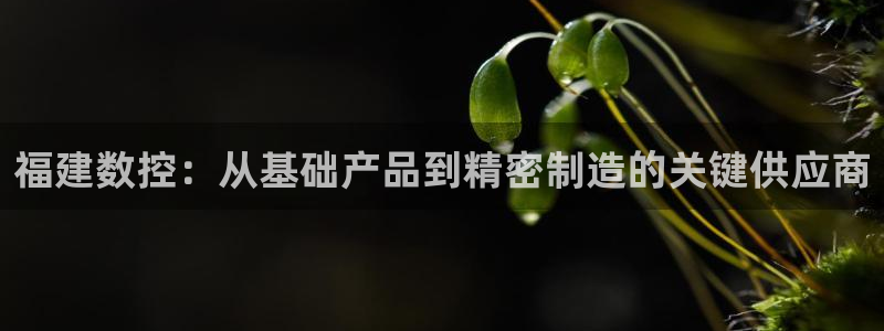 天辰在线娱乐:福建数控:从基础产品到精密制造的关键供应商