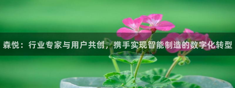 天辰娱乐 . 鱼刺:森悦:行业专家与用户共创,携手实现智能制造的数字化转型