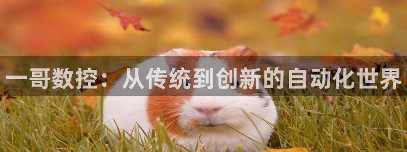 天辰娱乐小姐:一哥数控:从传统到创新的自动化世界