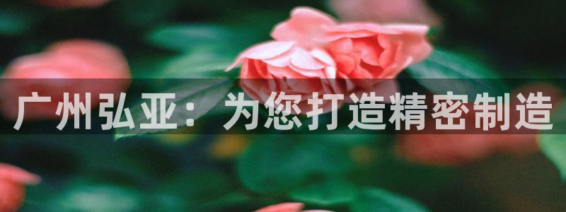 天辰娱乐小妹:广州弘亚:为您打造精密制造