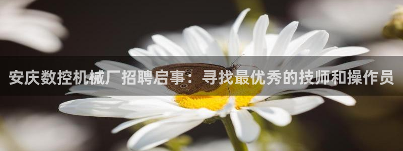 天辰娱乐在线登录注册:安庆数控机械厂招聘启事:寻找最优秀的技师和操作员