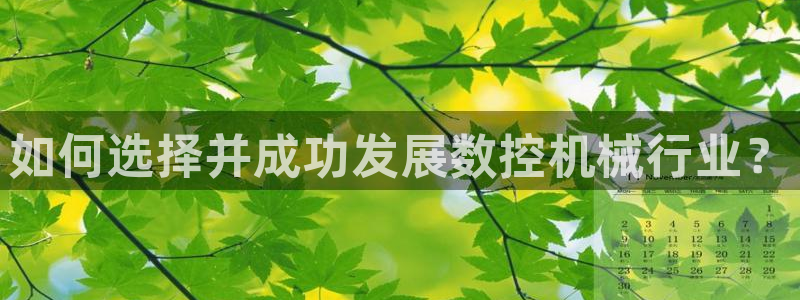 天辰娱乐游戏:如何选择并成功发展数控机械行业?