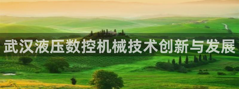 天辰娱乐 18113:武汉液压数控机械技术创新与发展