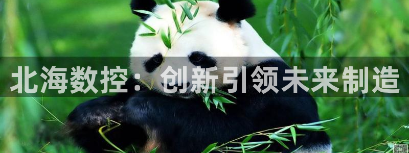 天辰娱乐视频:北海数控:创新引领未来制造