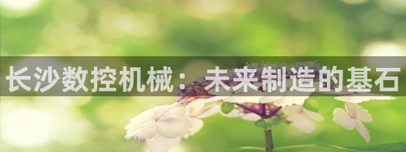 天辰娱乐上级:长沙数控机械:未来制造的基石