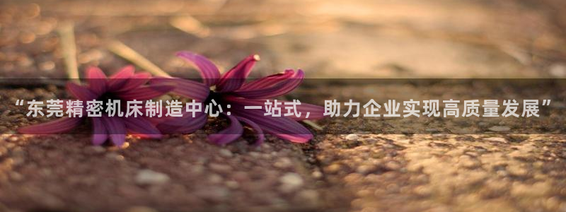 天辰娱乐指定:“东莞精密机床制造中心:一站式,助力企业实现高质量发展”